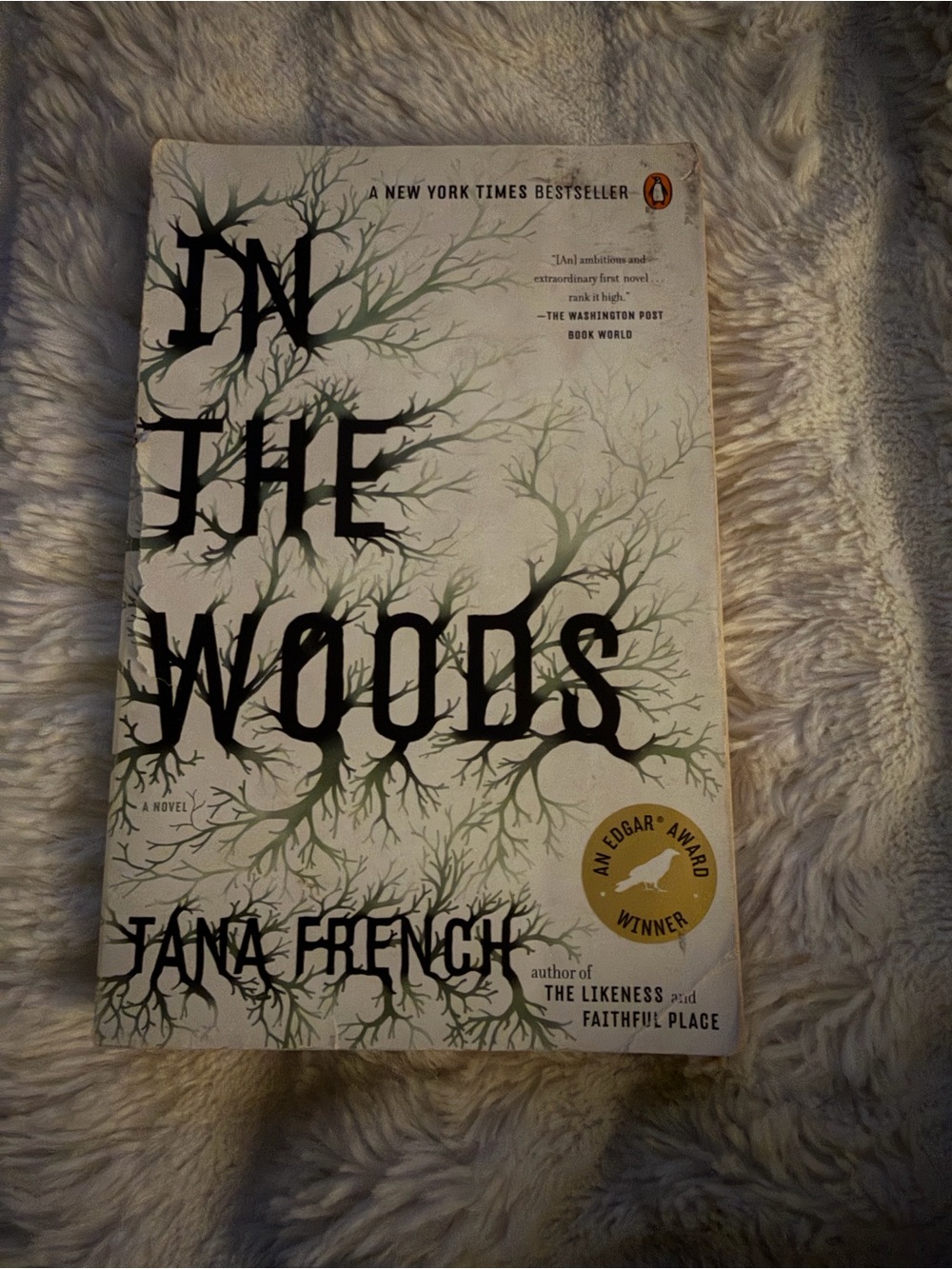 In the Woods